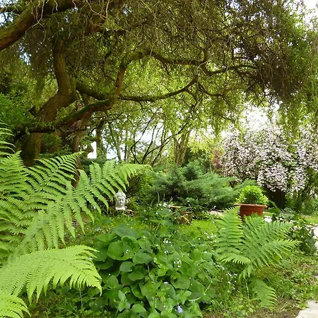 Le Gite De Laurence Holiday home Sainte-Liviere