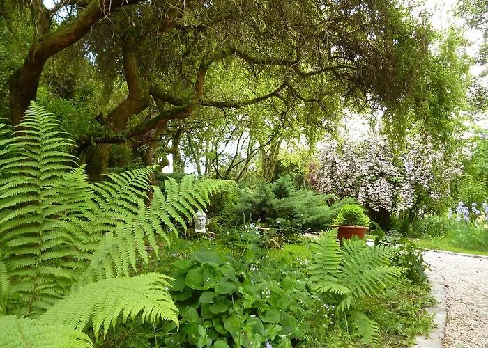Le Gite De Laurence Holiday home Sainte-Liviere