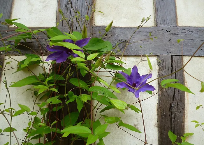 Le Gite De Laurence Holiday home